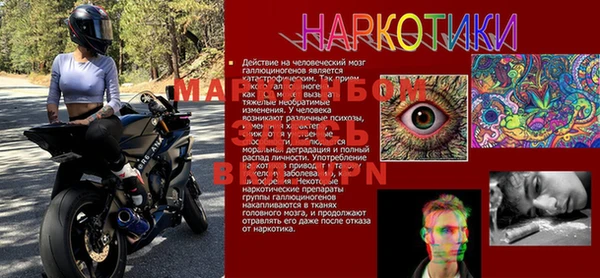эйфоретик Аркадак