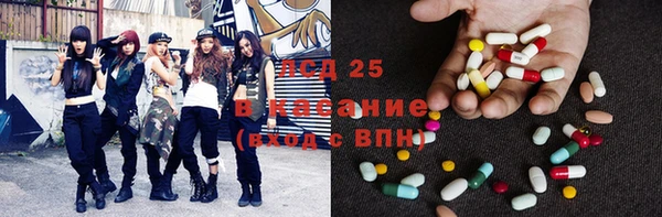 эйфоретик Аркадак