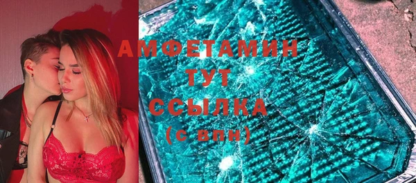 сатива Вяземский